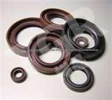 Oil Seal