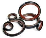 Oil Seal