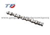 Brand New  Camshaft For Mitsubishi 4M40T