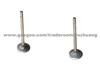 Air Exhaust Valve