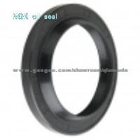 Oil Seal