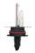 9007 Xenon&halogen Light