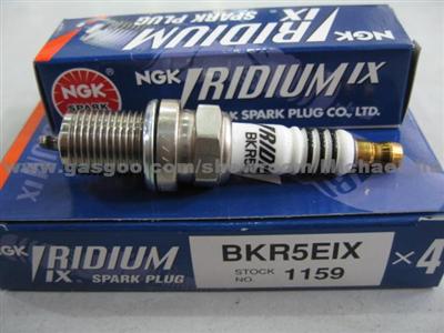 NGK Spark Plug