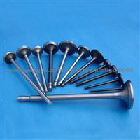 Engine Valve