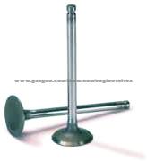 Engine Valve YP1024