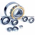 Cylindrical Roller Bearing 1