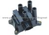 Ignition Coil (dry)