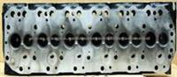 Cylinder Head 11039-06JOO