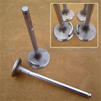 Engine Valve for Benz, BMW