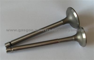 Engine Parts/Auto Engine Valve For Deutz