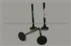 Lada SAMARA 1.5 Intake and Exhaust engine valve