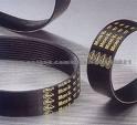 Ribbed Belt