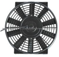 Fan