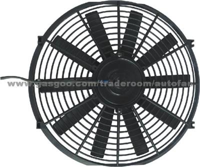 Fan