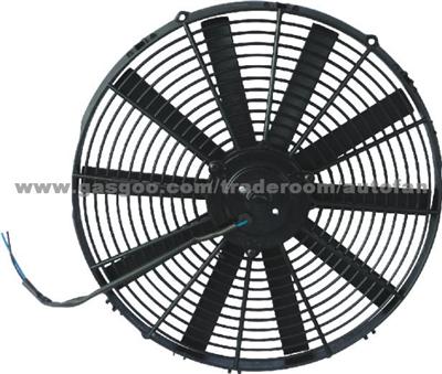 Fan