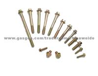 Automobile Series Fasteners