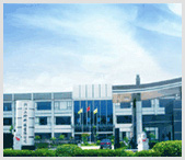 Ruian Nanfeng Auto Parts Co. , Ltd.