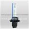 Hid H11 Xenon Bulb
