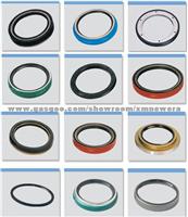 Oil Seal