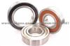 Deep Groove Ball Bearing