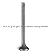 Engine Valve For Lada 2101-1007010 2101-1007012 2108-1007010 2108-100701