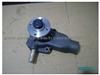 Water Pump 50 Ling 461996