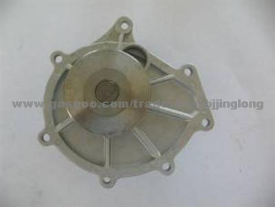 Water Pump 50 Ling 461996, 14085817, 10048917