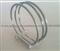 Piston ring