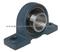 Pillow Block Bearing