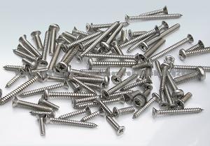 Stainless Steel Screw