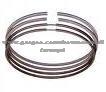 Piston Ring