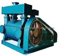 Dongfeng Vacuum Pump