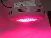 100W LED Grow Light