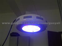 100W LED Grow Light