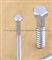 Head Lag Screw