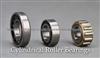 Cylindrical Roller Bearing