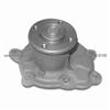 TITAN SE01-15-100 Water Pump