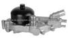 AW5081  12458934 88894345 Water pump