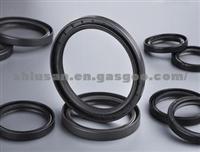 Oil Seal for Shanghai Tongyong