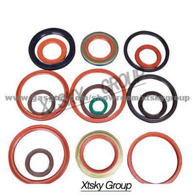 Oil Seal