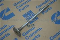 Cummins Parts Exhaust Valve M11 QSM ISM 3080976 3417715 3417779 3800637