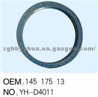 Oil Seal 145 175 13