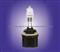 Halogen Bulb