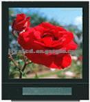 STN LCD MODULE JYG-12812822G(R)-KTCL2-VA