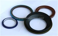 Oil Seal