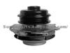 Water Pump 7490004 for Ford, GM