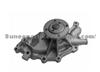 Water Pump 12520914