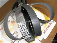 Poly V Belt