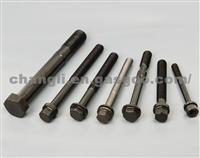 Automobile Special-purpose Non-standard Fasteners