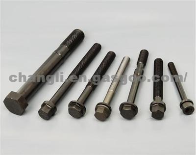 Automobile Special-purpose Non-standard Fasteners